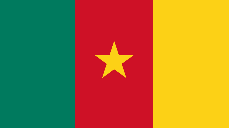 cameroon flag
