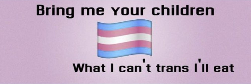 The banner Genspect are upset about: A trans flag emoji with the words "Bring me your children, what I can't trans I'll eat"