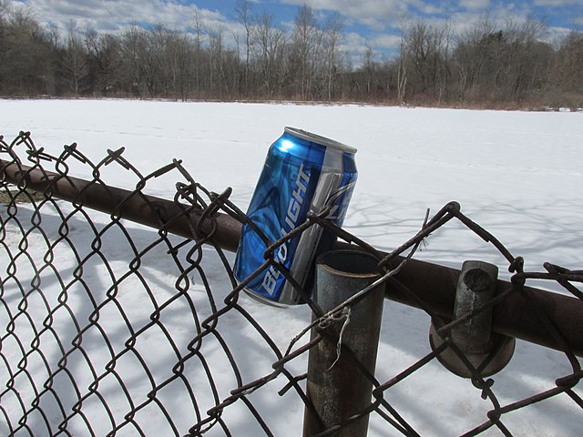 Bud Light in the environment, Lexington Massachusetts [credit Jon Phelan/WikiMedia]