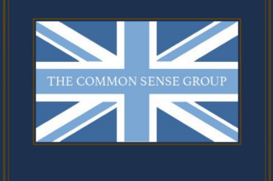 The Common Sense Group: No sense, plenty of hate