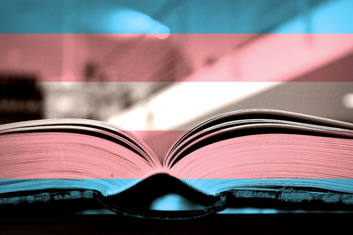 A photo of an open book on a desk with a trans flag colour gradient overlayed on the image representing trans people and fanfiction